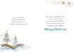 Picture of SPECIAL BROTHER CHRISTMAS CARD